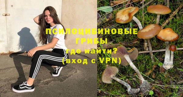 крисы Михайловка