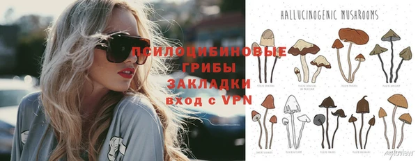 крисы Михайловка