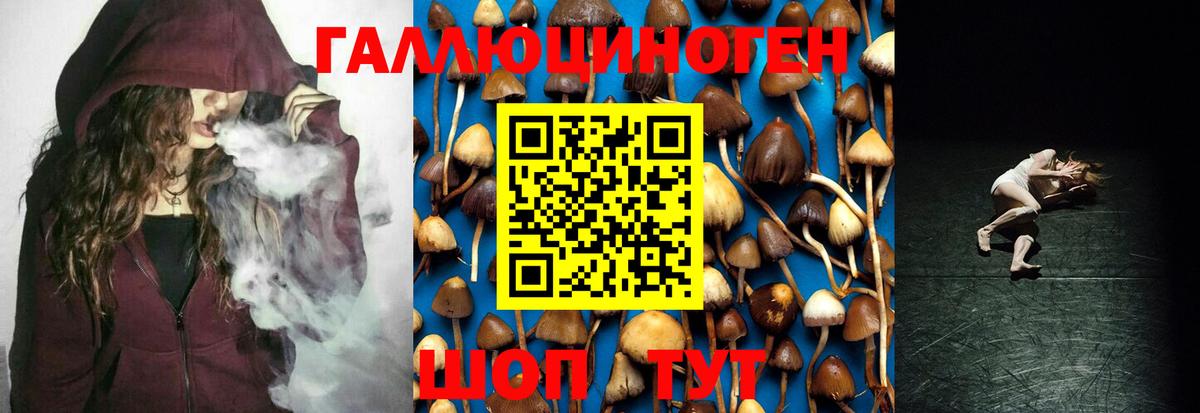 Псилоцибиновые грибы Psilocybe  Вход с VPN  Железноводск 
