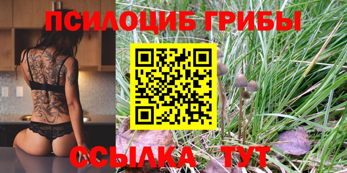 Галлюциногенные грибы прущие грибы  Железноводск 
